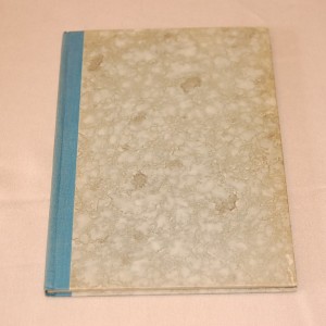 Mirkka Rekola Vedessä palaa